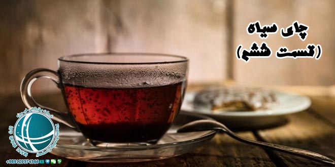 فرآیند تولید چای,فرآیند تولید چای 3,چای,چای سیاه, چای سبز,چای سیاه چیست,فواید نوشیدن چای سیاه,خواص چای سیاه,چای سبز بهتر است یا چای سیاه,مهمترین خواص چای سیاه,مضرات چای سیاه, خواص شگفت انگیز چای,انواع چای,خرید چای,چای مرغوب,خصوصیات چای مرغوب,تشخیص چای مرغوب,خاستگاه گیاه چای,محبوب ترین نوشیدنی دنیا,چای دبش,گیاه کاملیا,کشف چای,سابقه مصرف چای در ایران,جایگاه چای در ایران,چای ایران,جایگاه چای ایرانی در دنیا, فرآیند تولید چای,روش رسمی تولید چای,روش ارتدکس,تولید چای روش غیررسمی تولید چای, چای خشک,نحوه صحیح دم کردن چای,طریقه دم کردن چای,چای زوددم,چای دیردم,چای زعفرانی,چای دارچینی,چای زنجبیلی,چای لیمو,فرهنگ چای در ایران, چای نبات