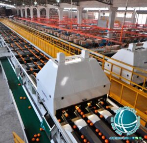 واردات ماشین آلات سورتینگ از چین